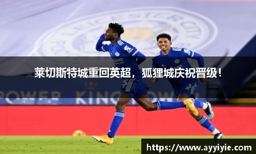 莱切斯特城重回英超，狐狸城庆祝晋级！
