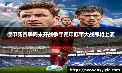 yy易游体育